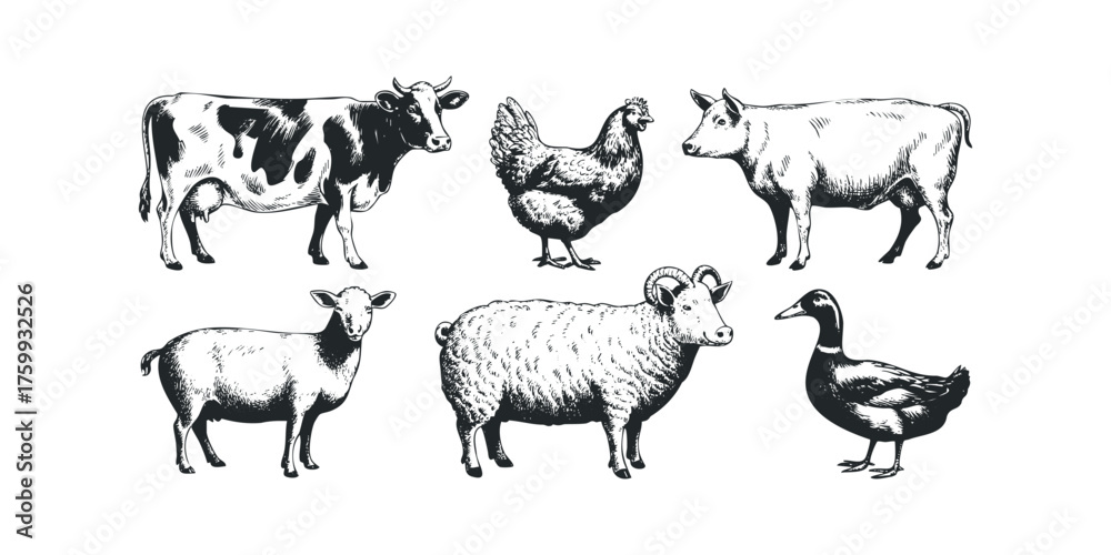 Fototapeta premium Farm Animals Collection