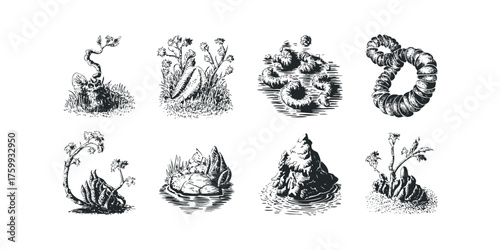 Nature drawing of flora and fauna elements in monochrome