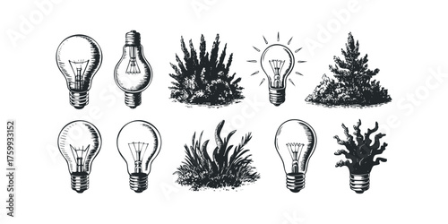 Collection of Vintage Light Bulbs and Greenery Silhouettes