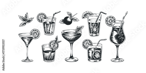 Collection of refreshing summer drinks with fruit and garnishes