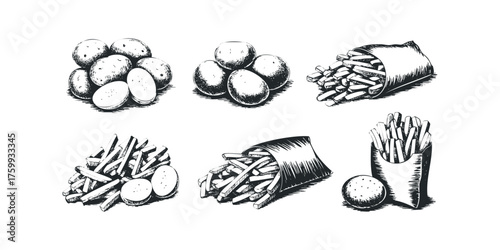 Hand drawn sketch of potatoes and french fries