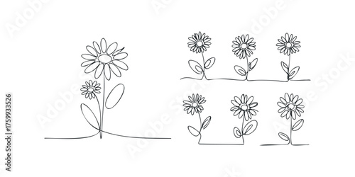 Line drawings of daisies with stems and leaves