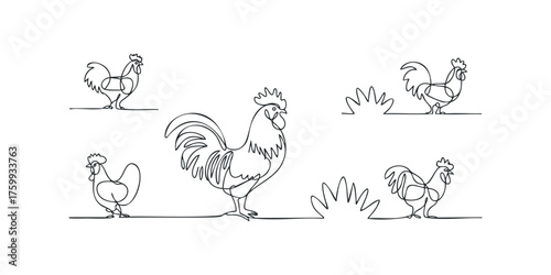 Rooster and hen in continuous line drawing style
