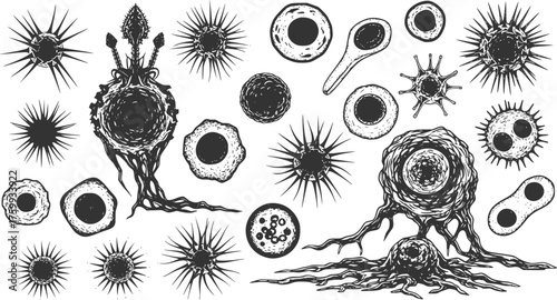 Set of Microscopic Virus and Cancer Cells in Silhouette Style
