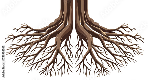 Abstract Illustration of a Tree Root System Against a Dark Background Design
