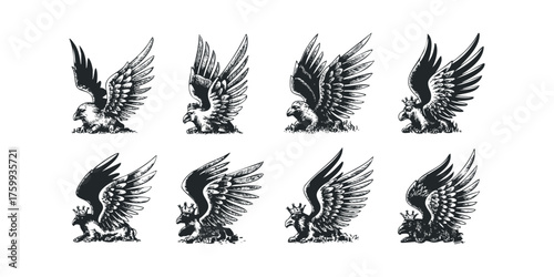 Majestic eagle emblems with spread wings and crowns
