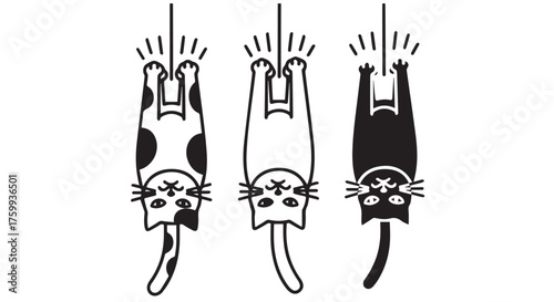Three cartoon cats hanging upside down by their claws isolated on transparent background