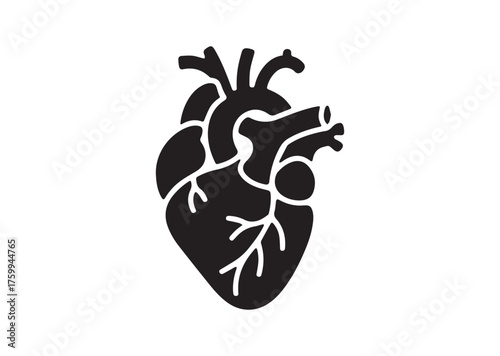 Anatomical heart icon, Anatomical heart solid vector