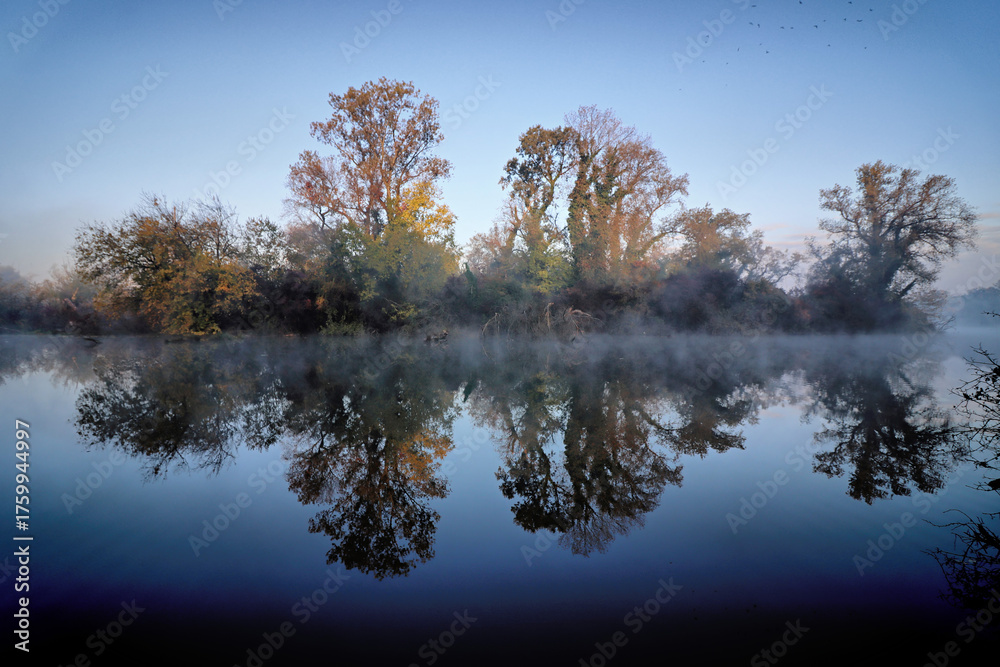 Obraz premium Reflections