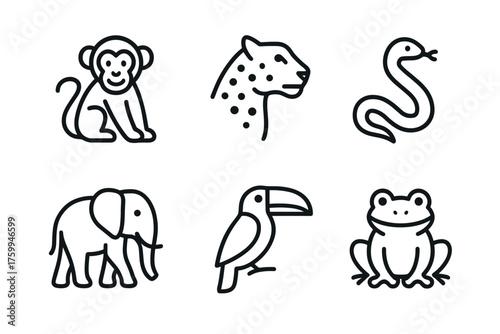 Simple outline icons of monkey, leopard, snake, elephant, toucan, and frog