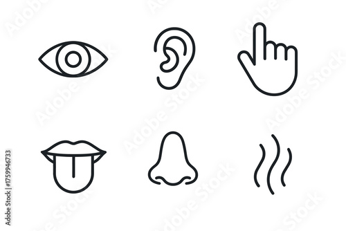 Icons representing six human senses: sight, hearing, touch, taste, smell