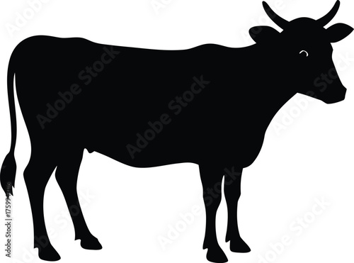 Domestic cattle silhouette. Dairy or beef farming vector graphic