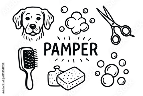 Dog grooming essentials: brush, scissors, soap, and bubbles