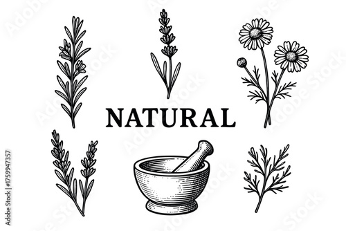 Herbal elements and mortar: lavender, chamomile, rosemary - natural remedies theme