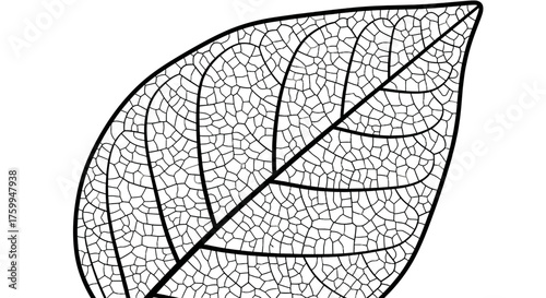Abstract Representation Of Cracks And Irregularities, Artistic View, Black Background