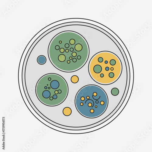 Petri dish with colorful circular colonies and smaller dots.