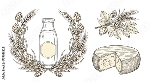 Elegant artisanal food vector elements with wheat and hops wreath, milk bottle, and cheese wheel for farmer's market branding