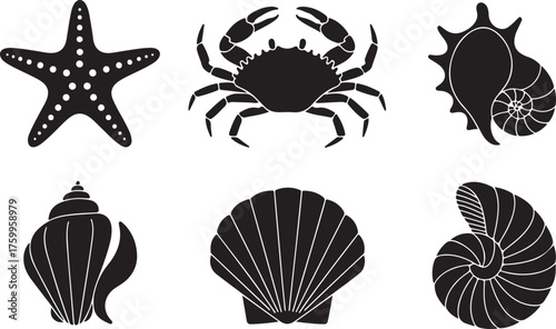 Minimal Vector Illustration of Sea Creatures and Ocean Elements