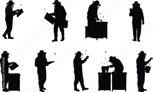 Silhouette of beekeeper working with beehive, inspecting honeycombs, caring for bees, apiculture, honey production, natural farming, agricultural illustration