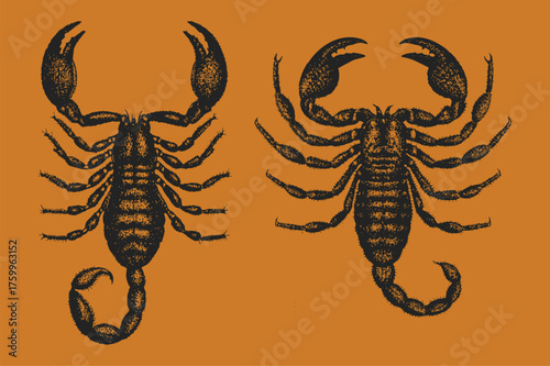 Retro Scorpion grunge halftone effect vector illustration. senek, lizard, collage element with vintage stippling photocopy effect.