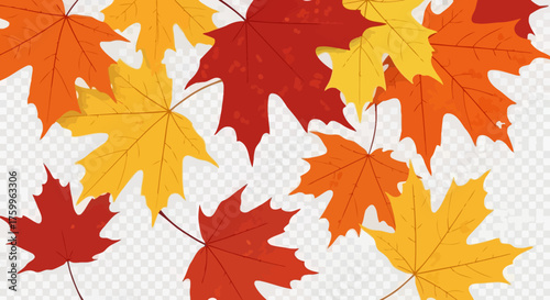 Autumn maple leaves in red, orange, and yellow fall colors