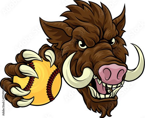 A wild boar, hog razorback ...