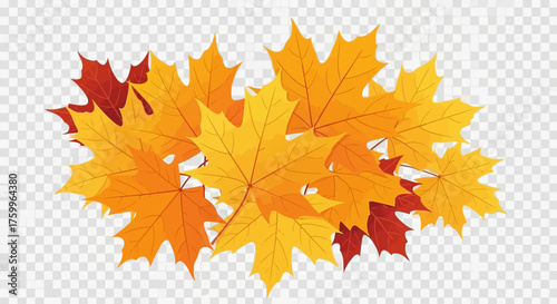 Pile of autumn maple leaves in warm orange and red colors