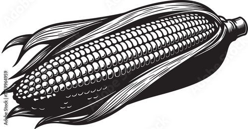 Detailed Black and White Illustration of a Corn Cob with Husk and Silk on White Background Keywords: corn, cob, maize, grain, vegetable, food, agriculture, harvest, also transparent background