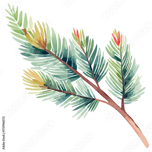minimalistic simple watercolor painting of a pine branch with soft green needles and a light brown stem