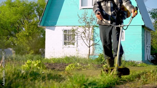 Gardener with grass trimmer mows lawn