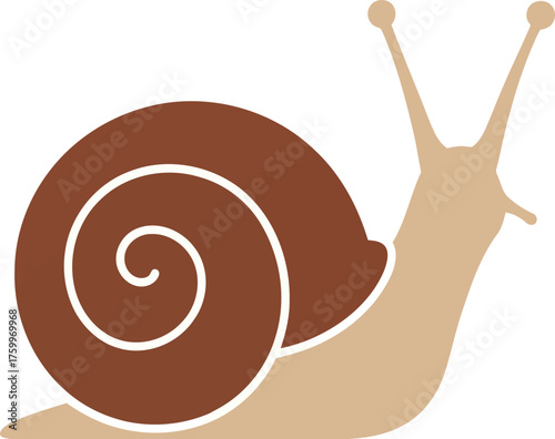 Cute snail illustration gentle movement slow pace nature icon vector