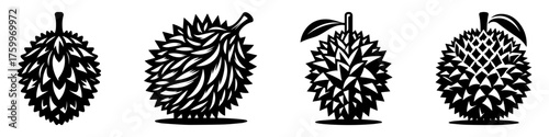 Durian Fruit Illustrations: Spiky Tropical Delights in Black and White.