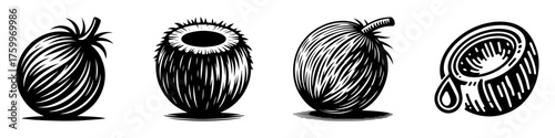 Coconut Fruit Illustrations: A Detailed Black and White Depiction.