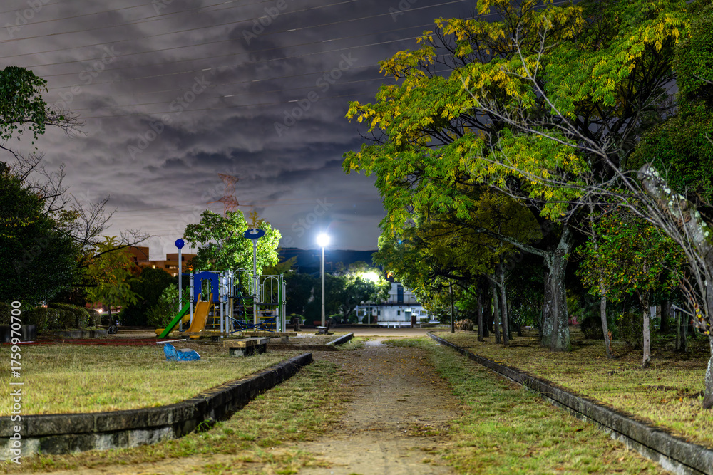 Fototapeta premium 光と影のコントラストが際立つ、日本の路地の雰囲気ある夜景