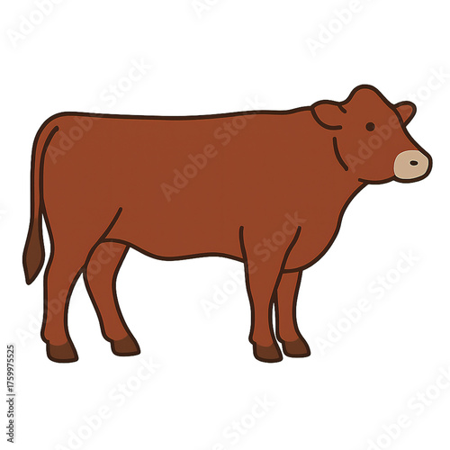 beef cow vector illustration