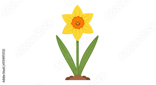 Vibrant Yellow Daffodil Flower with Green Stem and Leaves Illustration