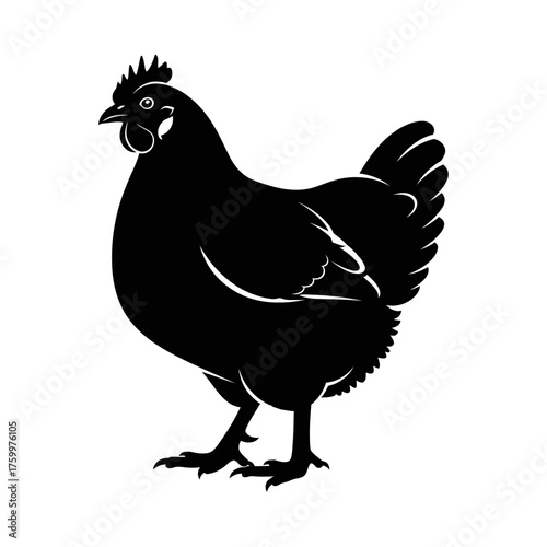 Solid Black Hen Silhouette: Farm Chicken, Poultry, or Livestock Graphic Icon