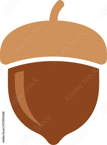 Cute acorn illustration autumn fall harvest nature organic food vector