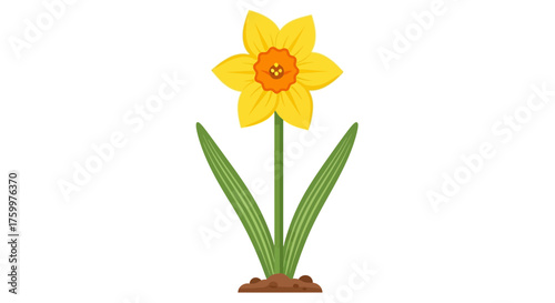 Bright Yellow Daffodil Flower Illustration