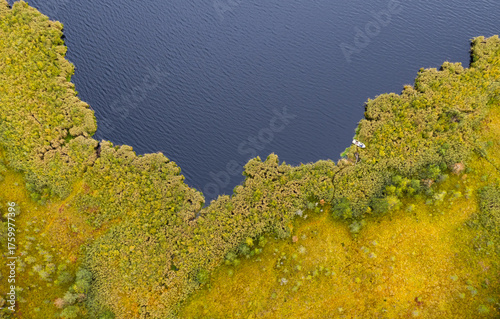 Alioniai swamp in Lithuania in autumn