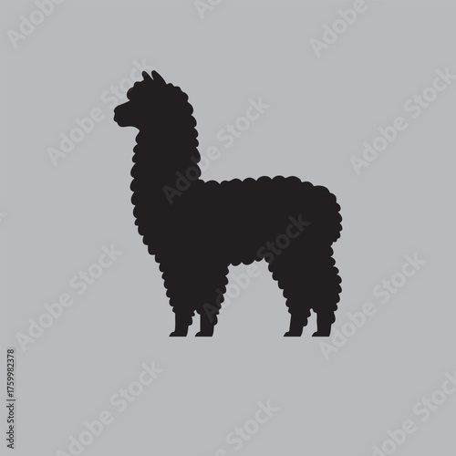 Silhouette of an alpaca with thick, curly fleece standing in profile on a neutral background. Vector illustration representing South American livestock and wool-producing animals