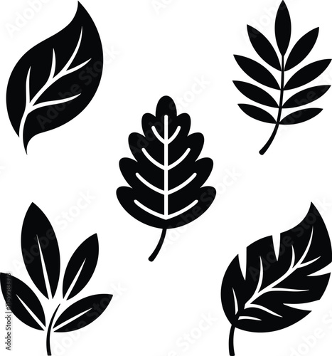 Black and white illustration of various leaf shapes isolated on a white background