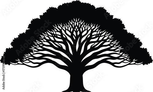 Majestic silhouette of a large deciduous tree with extensive branches and lush crown flat design vector illustration white background