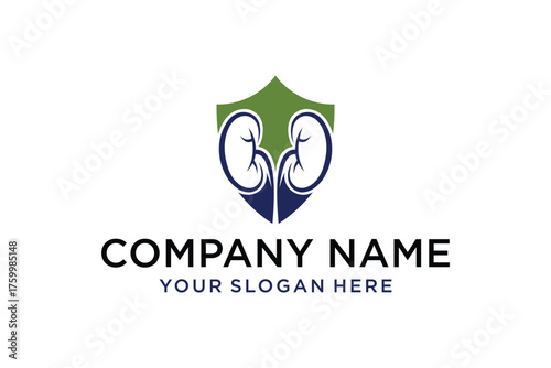 Stylized Human Kidney Shield Logo Template for Medical or Healthcare Business Branding