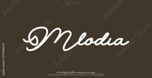 Modern alphabet letters font logo. Typography luxury minimal lettering fonts decorative wedding vintage retro logos. vector illustration