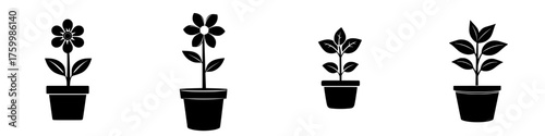 Stylized black and white illustrations of various potted plants showcasing different flower types and growth stages