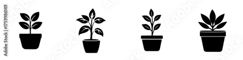 Different stages of plant growth in minimalistic black silhouettes on a white background illustrating the journey from seedling to mature plant