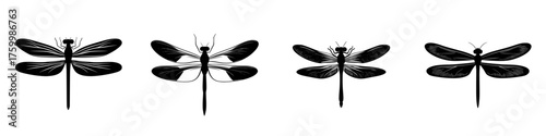 Different positions of dragonflies showcasing various wing patterns and body postures during daylight