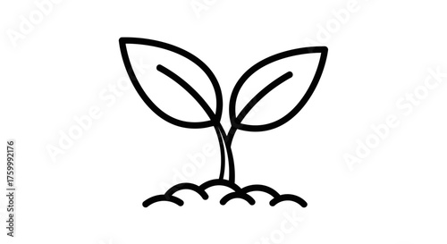 Delicate Seedling Sprouting From Dark Soil Showcasing New Life and Growth Perfectly