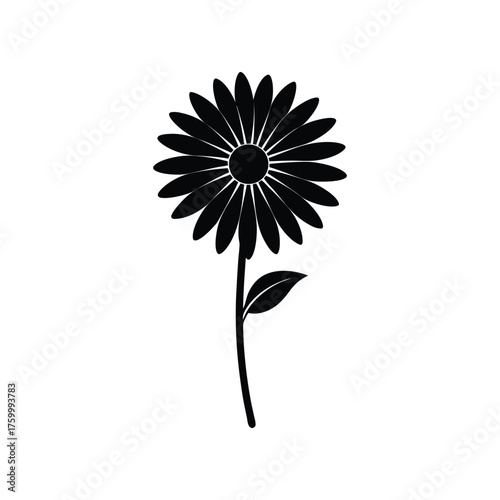 daisy silhouette flower vector illustration